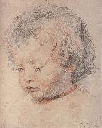 Peter Paul Rubens Rubens-s son oil painting on canvas